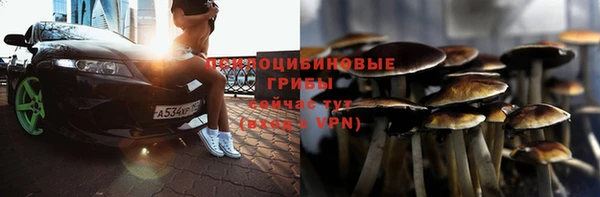 спайс Корсаков