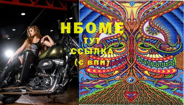 молекула духа Семикаракорск