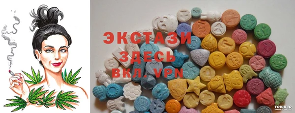 мдпв Краснослободск