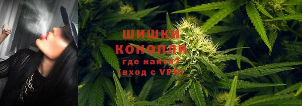 амф Верхний Тагил