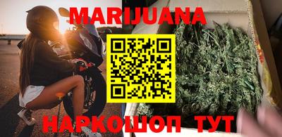 прущие грибы Кингисепп