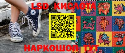 прущие грибы Кингисепп