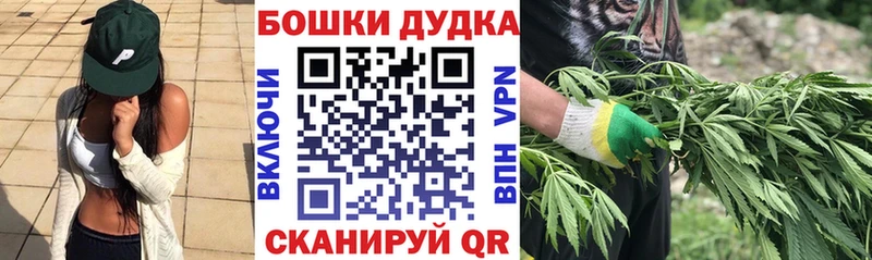 Бошки Шишки семена  Тихвин 