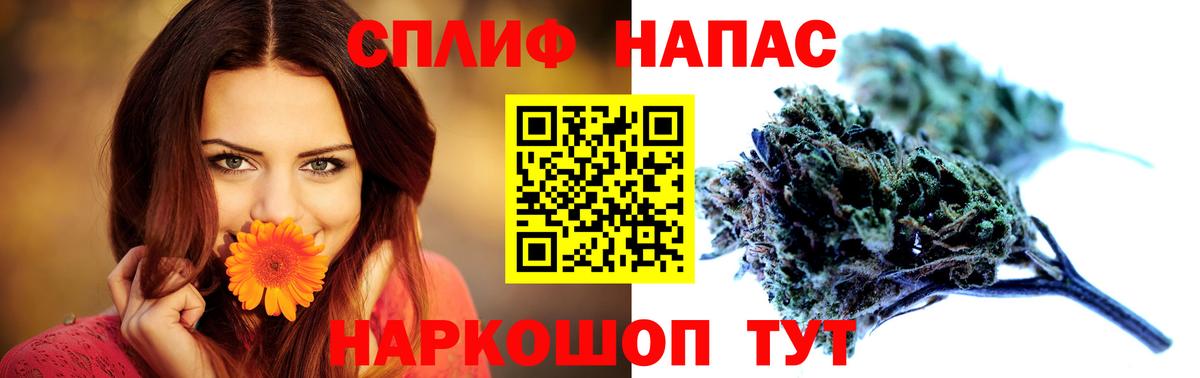 Бошки Шишки семена Тихвин