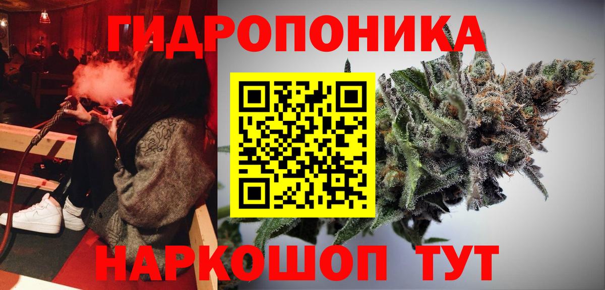 Тихвин  Канабис сатива  Вход с VPN  Бошки марихуана гибрид 
